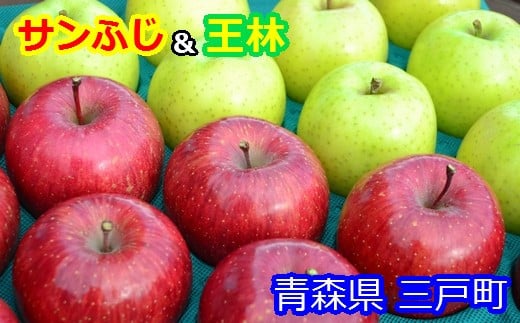 りんご【サンふじ＆王林セット】約5kg（12～20玉）【2025年産・先行予約】★2025年12月上旬～12月下旬頃に発送予定★ 青森県三戸町産