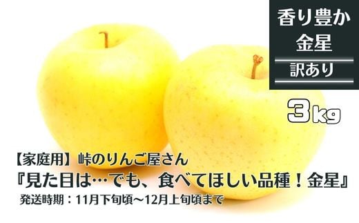 【先行予約】【家庭用】峠のりんご屋さん  金星 3kg（10～12 玉入り）旬りんご