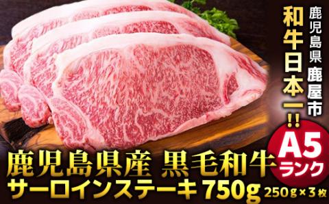 鹿児島県産黒毛和牛A5ランクサーロインステーキ750g［250g×３枚］