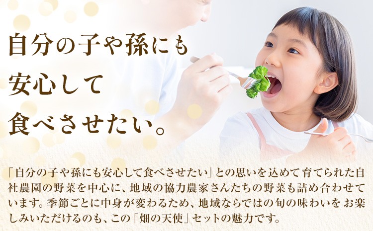 自然状況、生育状況などでお野菜の内容が変更となる場合があります