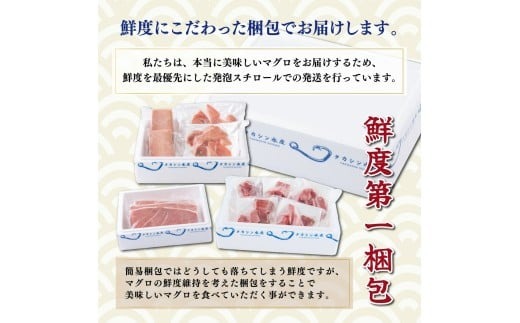 天然本マグロ 中とろ 赤身 切り落とし 800g 小分け(100g×8パック) 訳あり マグロ 刺身 カルパッチョ まぐろ丼 まぐろ漬け丼 魚 惣菜 海鮮丼 魚介類 食べきりサイズ 冷凍 不揃い