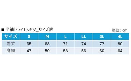 信州BW　半袖ドライTシャツ  長野市 バスケットボール バスケットボールチーム グッズ ホワイトL