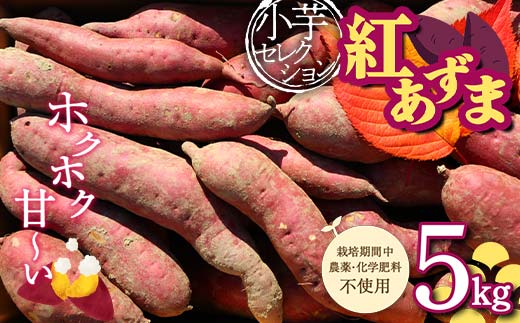 
                  栽培期間中、農薬・化学肥料不使用 ホクホク甘～い『小芋セレクション紅あずま』5kg さつまいも サツマイモ 山形県 新庄市 F3S-1939
                