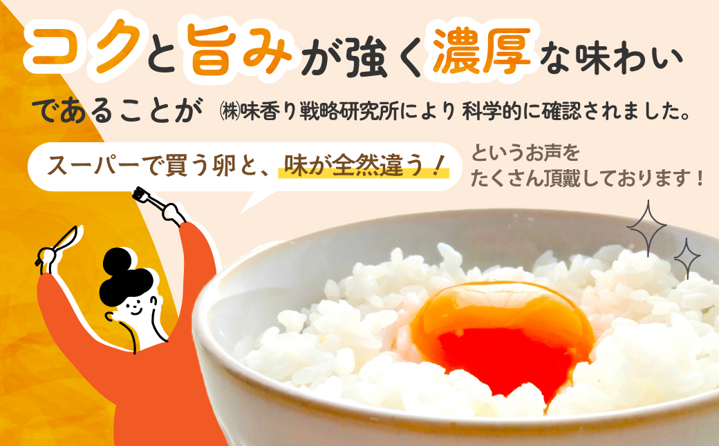 JK-04　【3ヶ月定期便】のびのび育ちの平飼い有精卵（30個×3ヶ月）_イメージ5