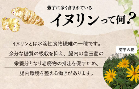菊芋パウダー（大）×２袋