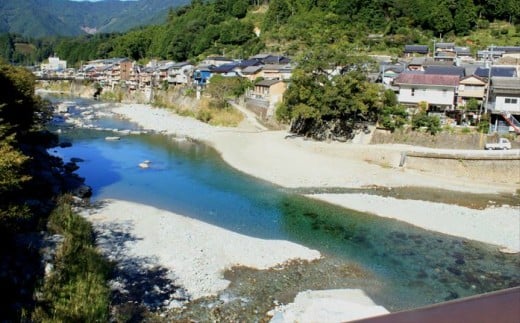 有名料亭も絶賛！鮎屋仁淀川の仁淀ブルー友釣り天然鮎 約1,000g