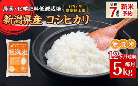 16-M05Z【12ヶ月連続お届け】新潟県胎内市産コシヒカリ【無洗米】5kg