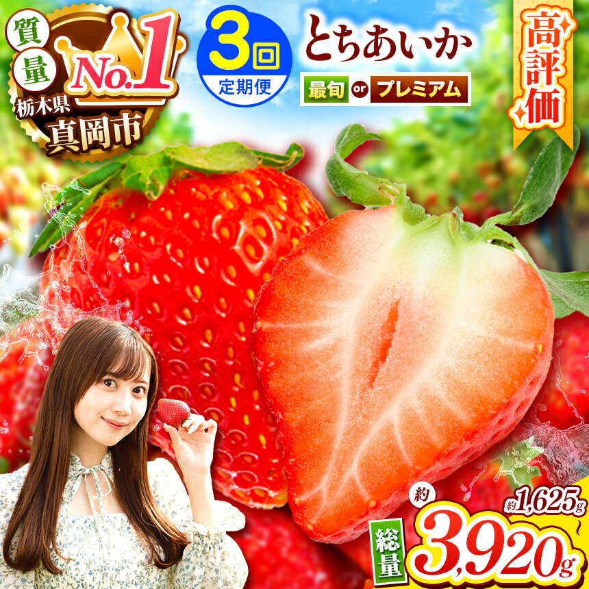 【ふるさと納税】 大人気 苺 定期便 ！ 2026年 先行予約 受付中 | いちご とちあいか 定期便 苺 3回 プレミアム 定期便 贈答用 最旬 1120g 3回 栃木県 真岡市 ｜ 農林水産大臣賞 受賞農家 産地直送 2025年 2026年 1月 2月 3月 先行予約 ストロベリー 人気定期便