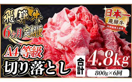 レビューキャンペーン実施中!【毎月定期便】飛騨牛 厳選切り落とし 計4.8kg全6回　小分け【配送不可地域：離島】