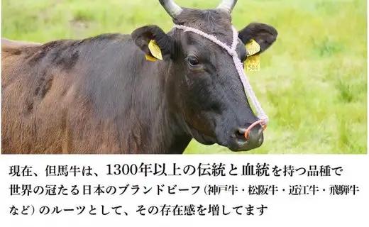 但馬牛 焼肉用 500g / モモ 肩 牛肉 焼肉 霜降り 赤身 但馬牛 黒毛和牛 和牛 国産牛 焼き肉 牛 肉 やきにく 【JAたじま 肉の店本店】