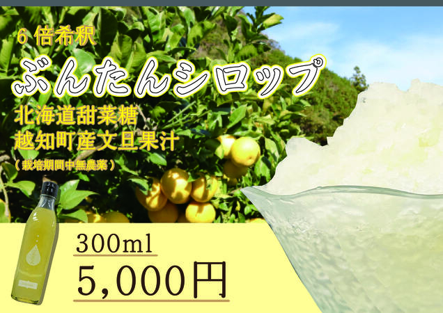 
文旦シロップ(300ml)
