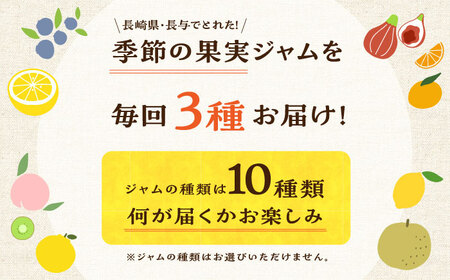 【12回定期便】季節の果実ジャム 3個（各120g） 長与町/アグリューム [EAI091]  瓶 セット ジャム