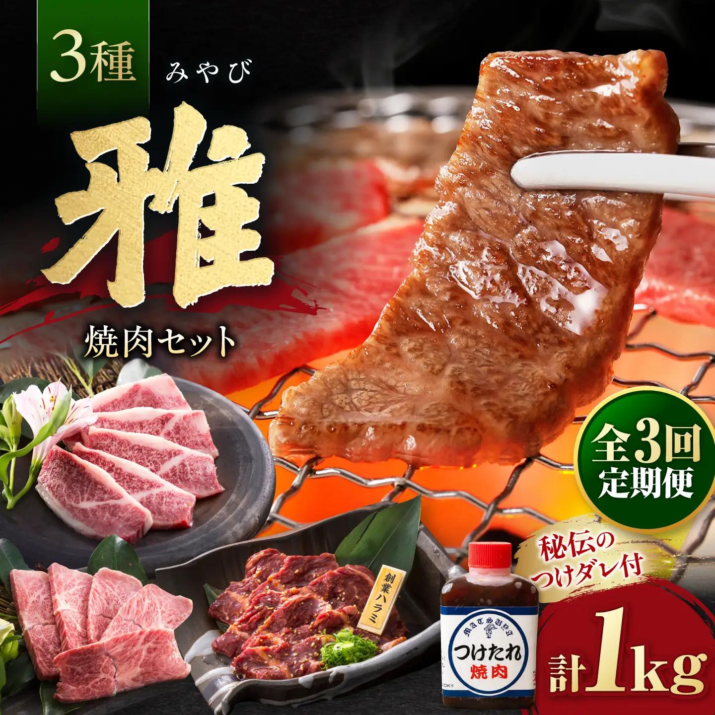 【全3回定期便】焼肉セット 雅 1kg / 肉 牛肉 牛 焼肉 焼き肉 やきにく BBQ バーベキュー キャンプ アウトドア 鉄板焼き セット 詰め合わせ 食べ比べ 国産 冷凍 小分け ハラミ カルビ バラ バラ肉 上カルビ 1kg 味付き タレ 簡単調理 ギフト / 大阪府藤井寺市/株式会社 松屋[BLCD008]