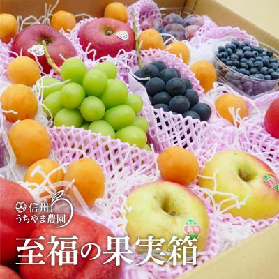 ふるさと納税 長野県 信州うちやま農園のフルーツ詰め合わせ【夏に届く】至福の果実箱E (4〜7種類)シャインマスカット入り