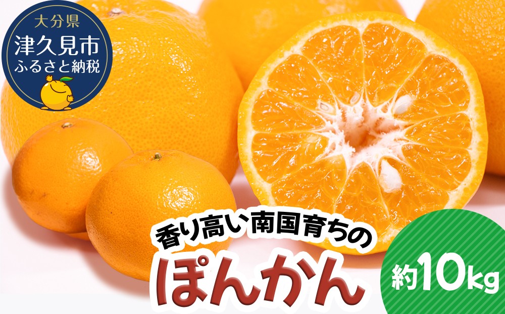 
                  ぽんかん 10kg ミカン ポンカン オレンジ 蜜柑 果実 フルーツ 大分県産 九州産 津久見市 国産
                