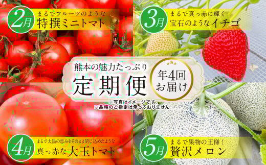 【年4回定期便】熊本の魅力たっぷり、特別な定期便 熊本県産 ミニトマト 約3kg イチゴ 250g×2パック 約500ｇ 大玉トマト 約3.5㎏ メロン 2玉【2026年2月上旬発送開始】4種 フルーツ くだもの 果物 やさい 野菜