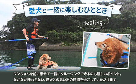 初心者向けSUP体験ツアー 1名様＋愛犬1匹 7-9月 GO4SURF《30日以内に出荷予定(土日祝除く)》千葉県 勝浦市 マリンアクティビティ体験 マリンスポーツ 海 SUP サップ 愛犬 わんちゃ