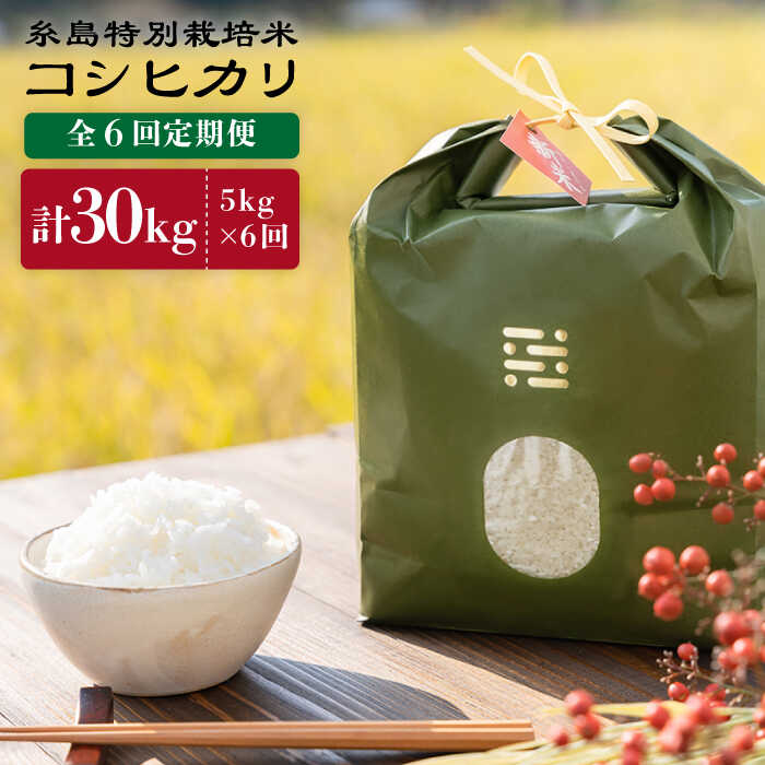 【ふるさと納税】【令和7年産新米】【全6回定期便】糸島特別栽培米コシヒカリ5kg《糸島》【itoshimacco《(株)やました》】 [ARJ006] 常温 いとしまっこ 100000円 10万円