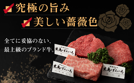 【全3回定期便】長崎和牛 出島ばらいろ ステーキ 3種盛り ロース モモ バラカルビ 計300g（各100g×3） / 肉 牛肉 【合同会社　肉のマルシン】[RCI030]