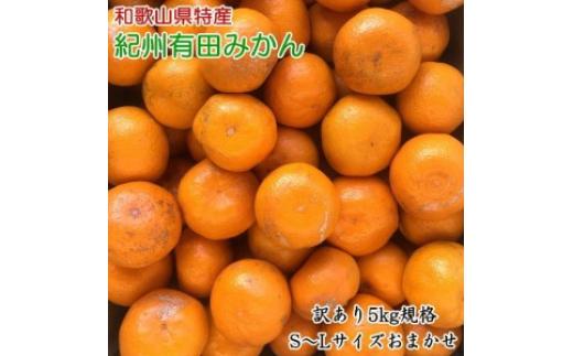 
            ［訳あり］和歌山有田みかん約5kg（S～Lサイズいずれかお届け）｜わけあり 産地直送 ご自宅用 柑橘 果物 フルーツ ※2025年11月中旬～2026年1月中旬頃に順次発送予定 ふるさと納税 ミカン
          