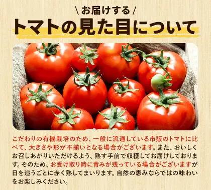 有機JAS トマト 4kg 澤村農園 トマト