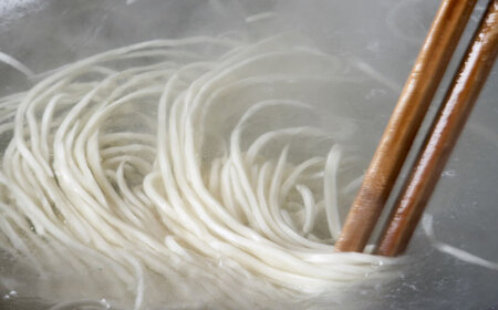 うどん 田毎のカレー煮込みうどんセット [ANFP001] うどん