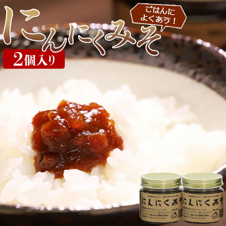 【ふるさと納税】南国農家 ごはんによくあう！にんにくみそ2個入り - 送料無料 のし対応可 朝食 晩御飯 トッピング 煮込み 隠し味 料理 調味料 特産品 ギフト 贈答 贈り物 高知県香南市【常温】 ng-0007