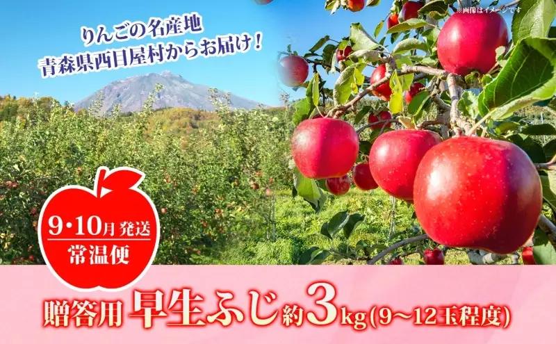 りんご 早生ふじりんご 青森県産 贈答用早生ふじ りんご【約3kg】【9〜10月発送】