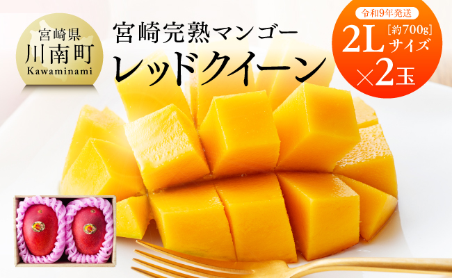 【令和9年発送】宮崎県産完熟マンゴー　「レッドクイーン」2L×2玉 【 果物 フルーツ マンゴー 宮崎県産 完熟マンゴー みやざきマンゴー 先行予約 数量限定 期間限定 】