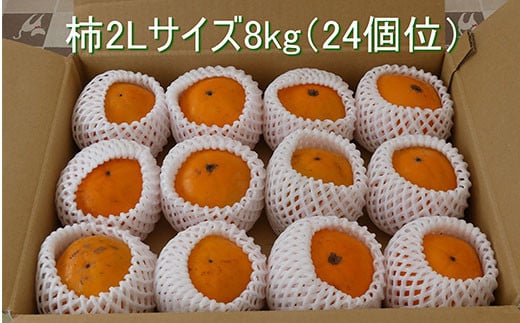 【2025年10月下旬発送開始】山武の柿 約8kg(24個入り×1箱)  SML001