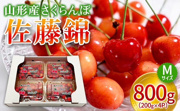 
                  【GCF】山形産 さくらんぼ 佐藤錦 約200g×4Ｐ特秀 Ｍサイズ【令和9年産先行予約】 FS26-005
                