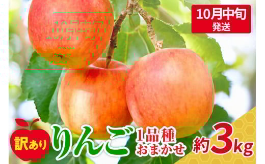 【2025年10月中旬発送】おまかせ 訳ありりんご 約 3kg （7～12個程度） 青森 |選べる配送時期|  りんご 青森 五所川原 3kg 程度