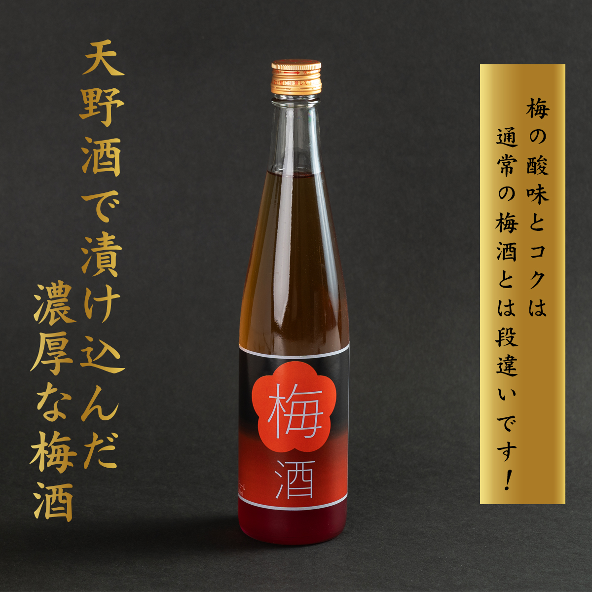 日本酒で漬け込んだ濃厚梅酒 天野酒 梅酒 500ml｜享保三年に創醸の蔵元 手間暇を惜しまず一滴一滴 日本酒で漬け込んだ濃厚な手作り梅酒｜甘さ控えめ 氷砂糖使用 国産梅使用 ギフト 贈答 お取り寄せ 高級梅酒 手仕込み プレゼントにも最適