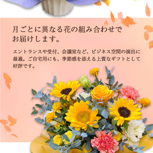 【12回定期便】季節のフラワーアレンジメント（M） / 花 生花 ギフト 綾部市 / 有限会社トリオ［BSDZ063］