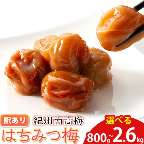 【ふるさと納税】南高梅 はちみつ 梅 わけあり 紀州南高梅 はちみつ梅 有限会社プラム《30日以内に出荷予定(土日祝除く)》和歌山県 日高町 送料無料 梅 うめ ウメ 南高梅 蜂蜜 紀州 訳あり 送料無料