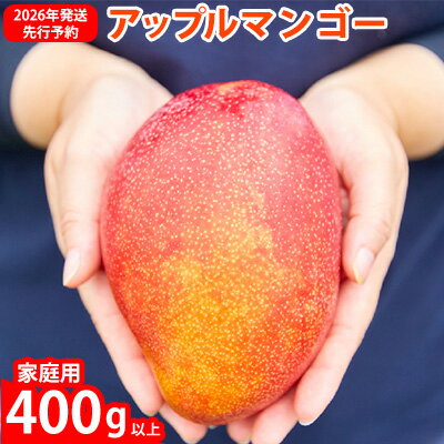 【ふるさと納税】【2026年発送先行予約】アップルマンゴー優品400g以上 沖縄 おきなわ まんごー 自分用 名護市 先行予約 ふるさと納税 送料無料 甘味 糖度 おいしい お土産 アーウィン 果物 くだもの 果実 400グラム スイーツ 食べ物 フルーツ