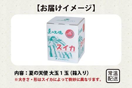 【先行予約】甘さきらめく「夏の天使」スイカ1玉 【2024年7月上旬以降順次発送予定】[A-1005]