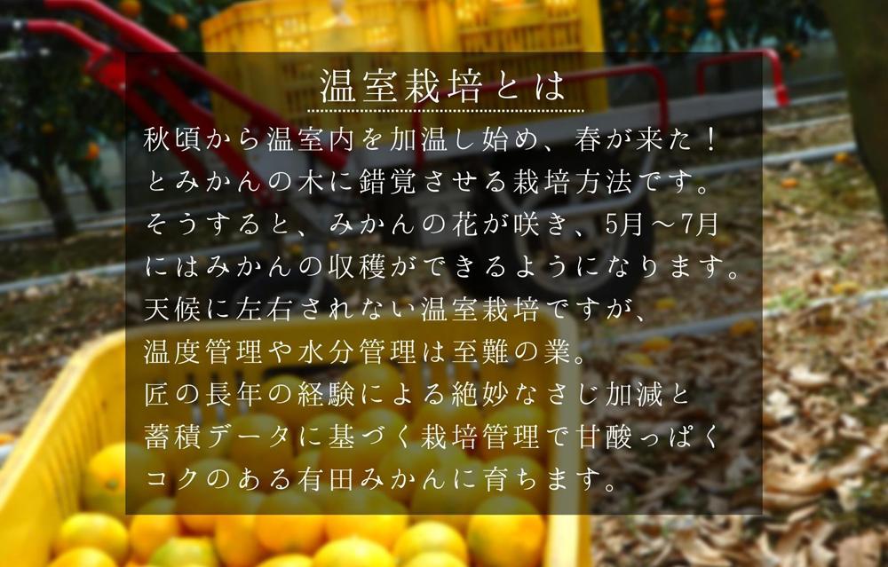 【5月下旬出荷予定】ハウスみかん 温室栽培 夏の有田みかん 1kg 秀品 S・M・Lサイズのいずれか 和歌山県 産地直送 みかんの会 AX154_イメージ4