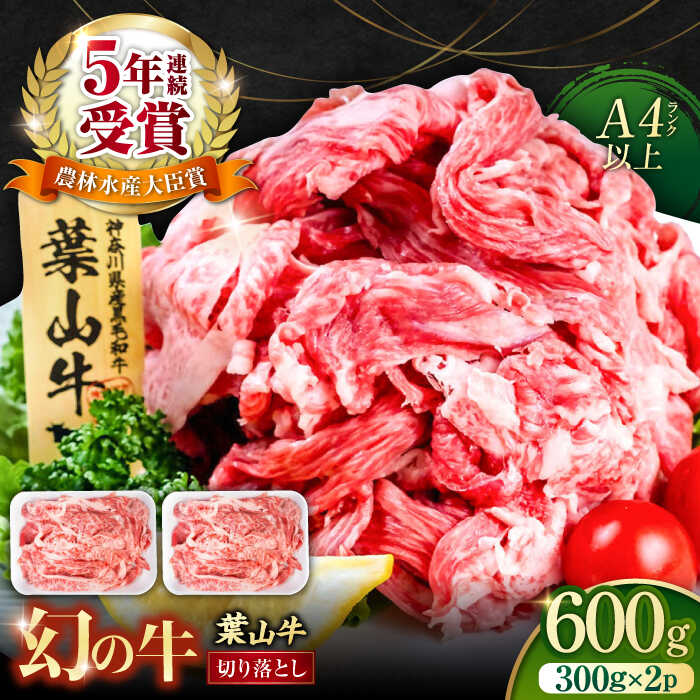 【ふるさと納税】葉山牛 切り落とし300g×2パック 計600g 小分け 便利 切り落とし 国産 和牛 牛肉 肉 お肉 希少 きりおとし 神奈川 冷凍 パック 横須賀 【株式会社羽根】[AKAG001]