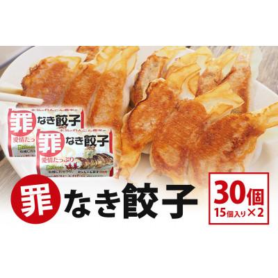 ふるさと納税 小美玉市 【最高級Bigれんこん珠美使用】冷凍罪なき餃子(20g×15個入)2パックセット