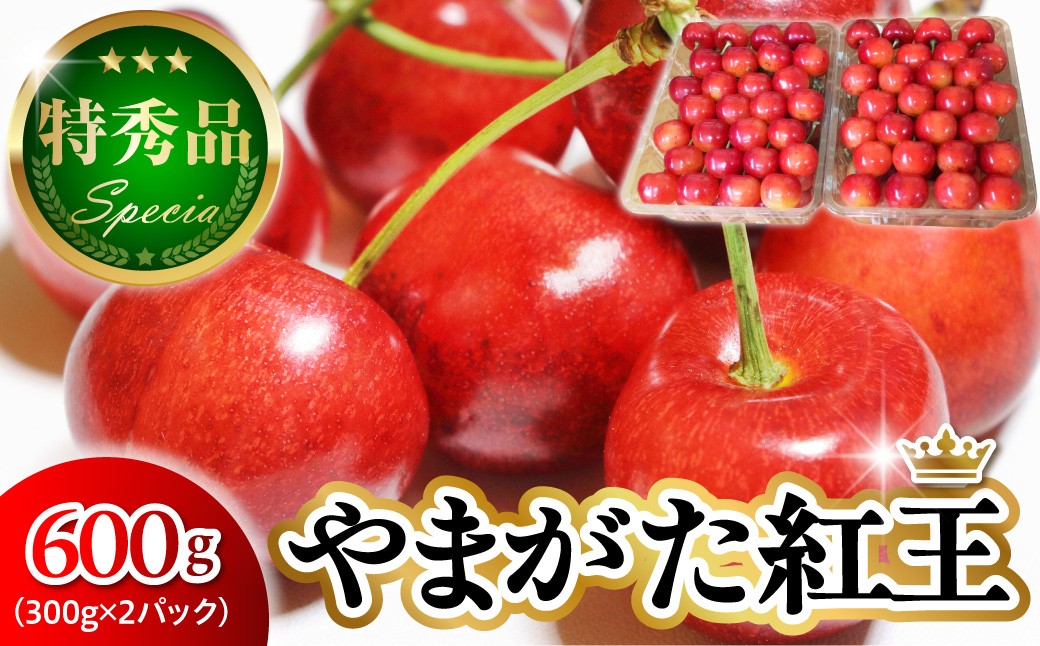
                  【2027年産 先行受付】 さくらんぼ やまがた紅王 特秀品 約600g(300g×2P) 2L・3L 詰め合わせ 山形県 東根市 ベジフルひがしね hi104-019-r9 サクランボ フルーツ くだもの 果物 期間限定 先行受付 ご当地 特産 産地
                
