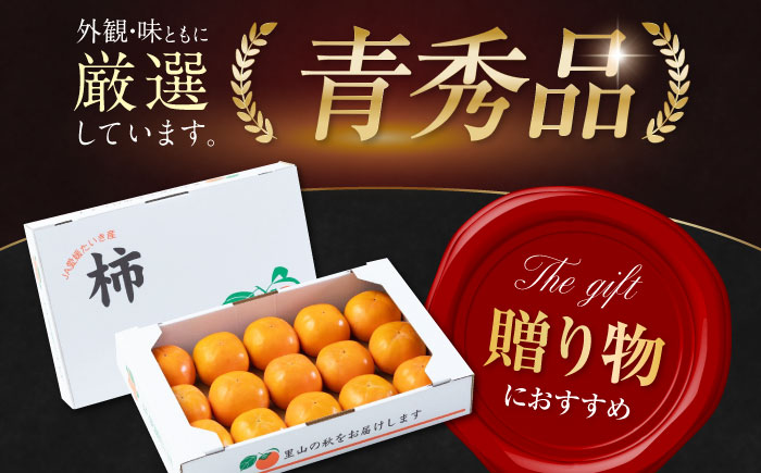 【先行予約】【11月上旬から順次発送】【期間・数量限定】愛媛県産 富有（ふゆう）柿 3Lサイズ 約5kg箱（15玉入り） かき カキ 柿 果物 フルーツ 愛媛県大洲市/愛媛たいき農業協同組合[AGAO