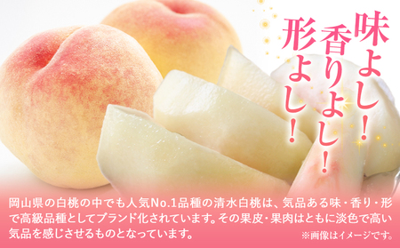 令和7年産先行受付 B-80c  岡山県産　清水白桃　約2kg(８玉)《2025年7月下旬-8月上頃出荷》｜ 桃