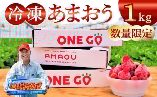 【数量限定】福岡県産あまおう（冷凍1kg）特別栽培_数量限定 急速冷凍 いちご あまおう 1kg 冷凍 3Dフリーザー 長期保存可能 国産 サクサク シャーベット フルーツ デザート フレッシュ 果物 便利 安心 長持ち 無添加 無香料 無加糖 エコファーマー GAP認定 福岡県 久留米市 送料無料_Fi203