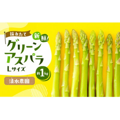 【ふるさと納税】2026年先行予約　ふらの産グリーンアスパラLサイズ計1kg【配送不可地域：離島】【1675382】