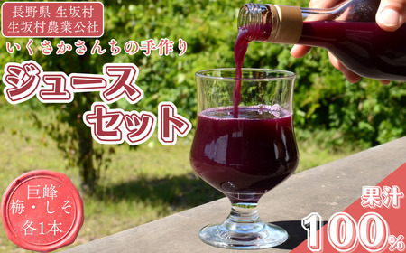 かあさん家 手作りジュースセット (巨峰・梅・しそ) 手作りジュースセット 生坂村農業公社 | 手作りジュースセット