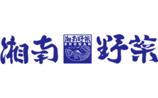 野菜 セット 旬 の 湘南野菜 おまかせ セット 10 ～ 15品 お任せ 詰め合わせ 野菜セット やさい やさいセット yasai きゅうり トマト なす ねぎ さといも 小松菜 白菜 玉ねぎ とま