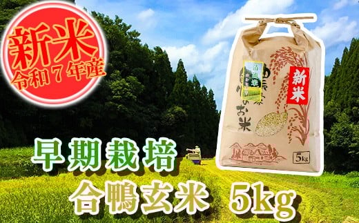 
            【令和7年産】早期栽培 合鴨玄米  5kg 南関町産 単一原料米 コシヒカリ 産地直送
          