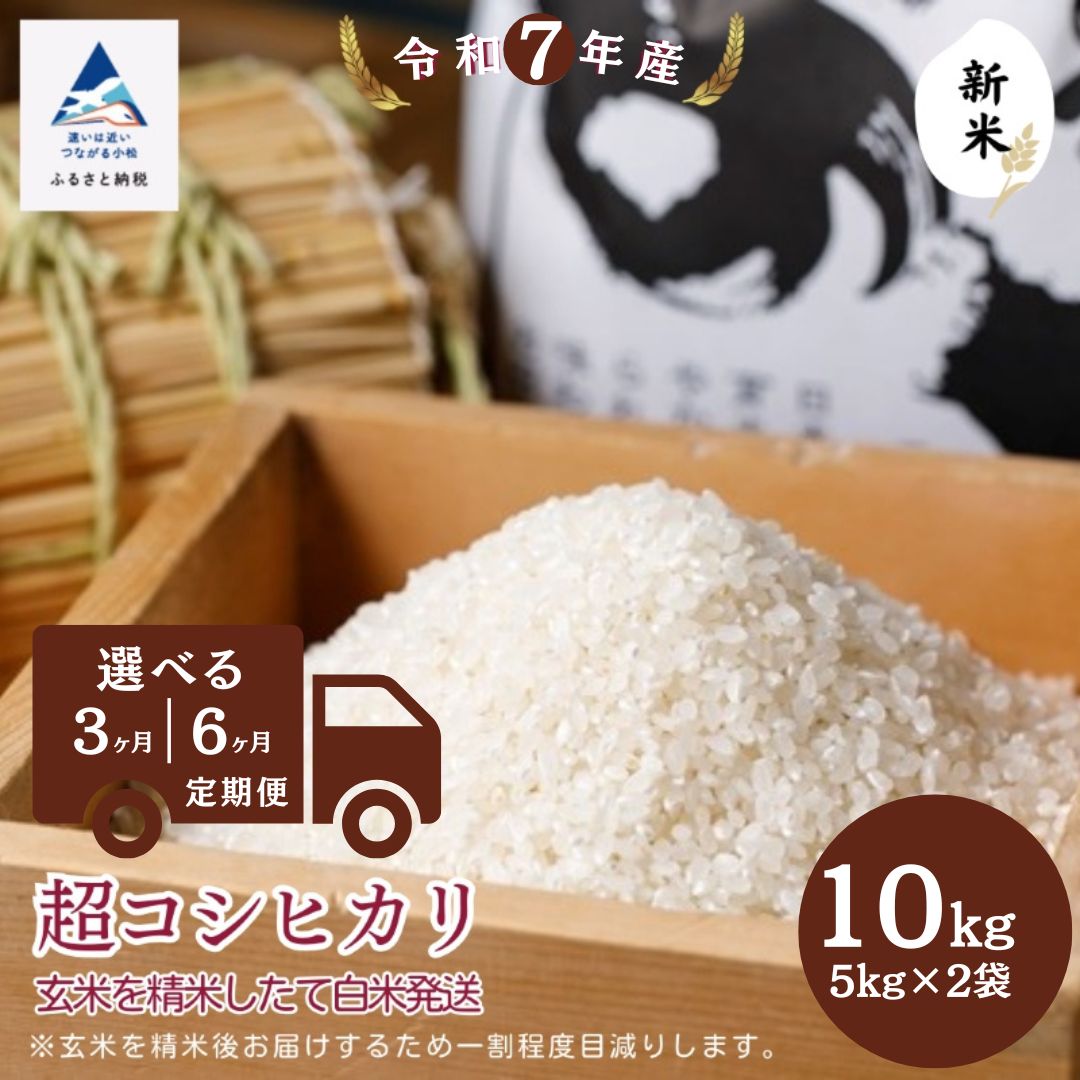 【ふるさと納税】【定期便】超コシヒカリ 10kg(5kg×2袋) 選べる 3ヶ月 / 6ヶ月 玄米 精米したて白米発送 石川県 小松市 【のむら農産】