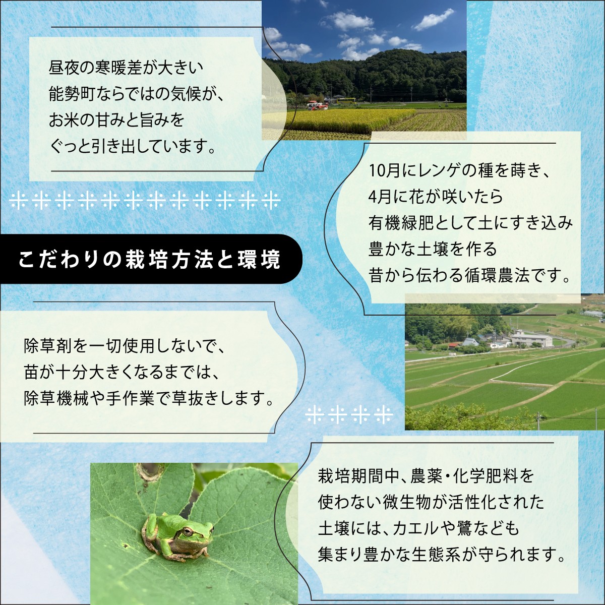 【栽培期間中農薬・化学肥料不使用】  「レンゲ米」玄米 10kg | 合同会社農園のら